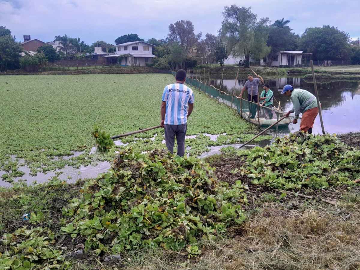 Pinterest Hidden Image