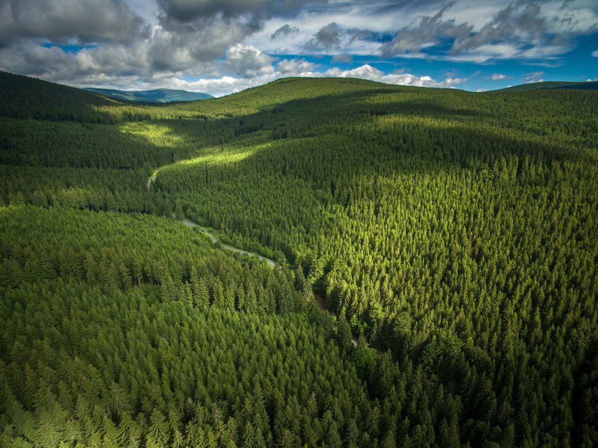 Pinterest Hidden Image