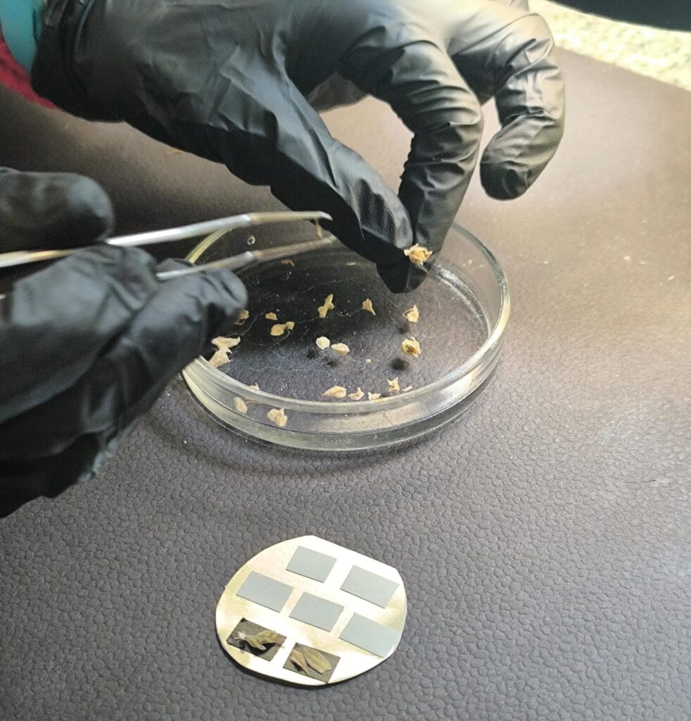 Pinterest Hidden Image