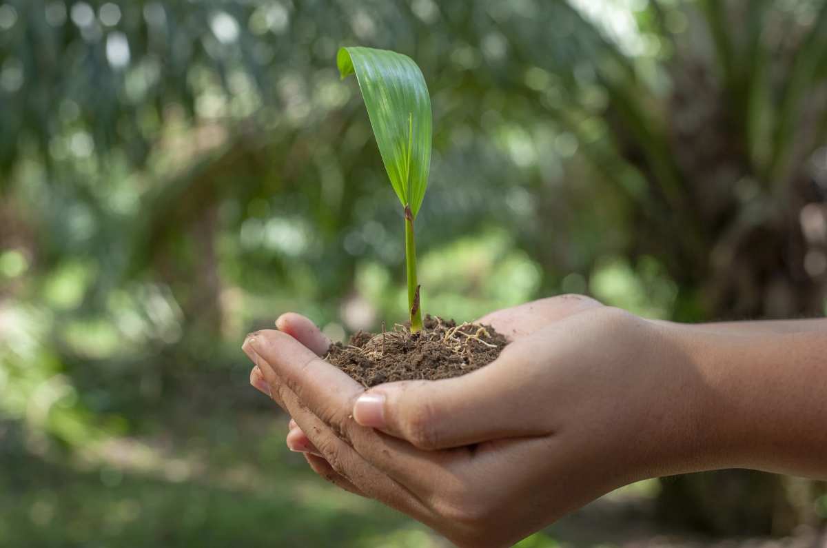 Pinterest Hidden Image