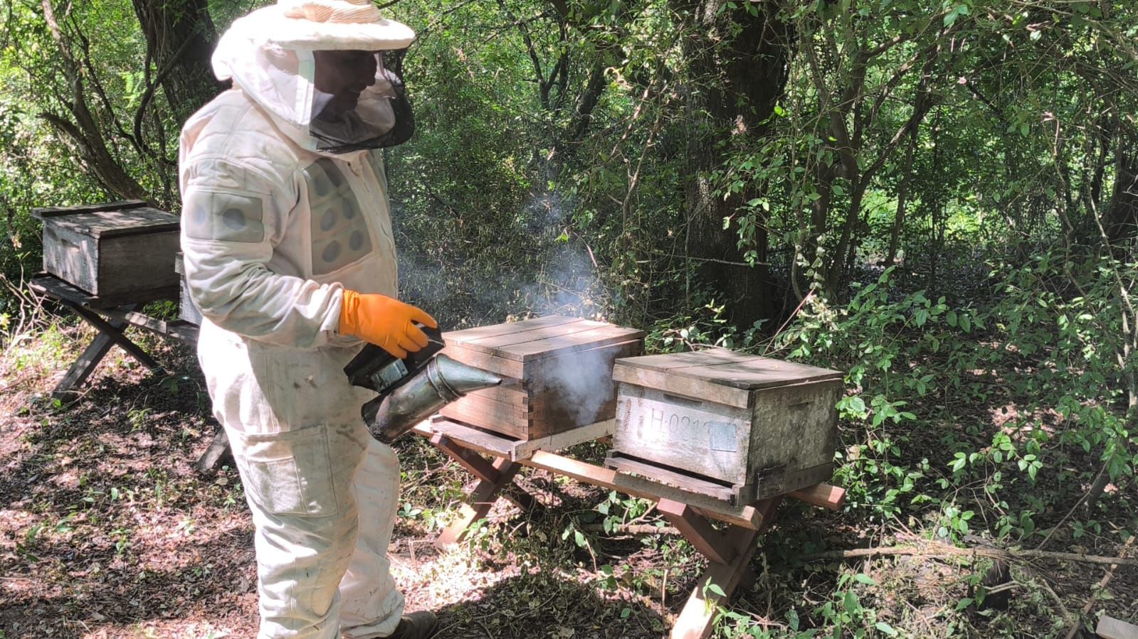 Pinterest Hidden Image