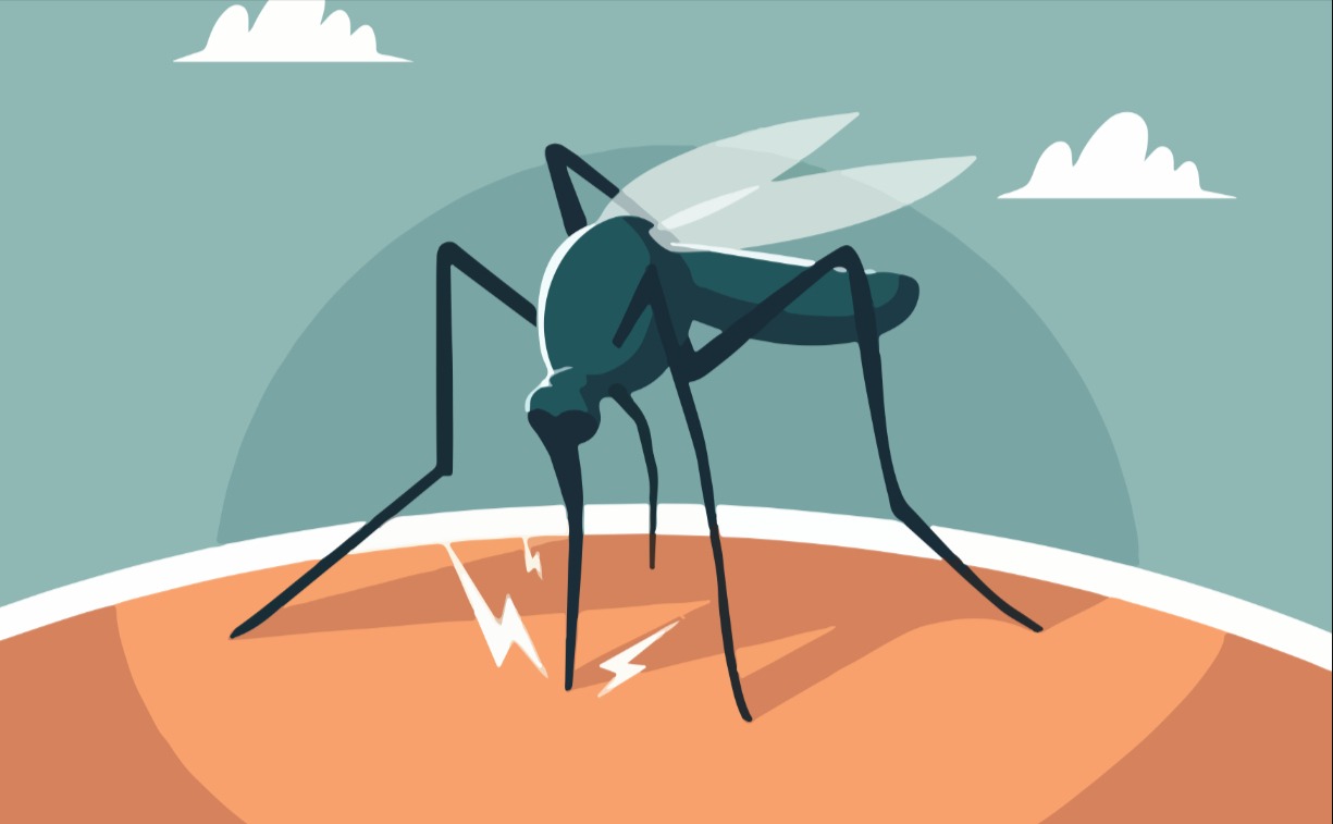 Pinterest Hidden Image